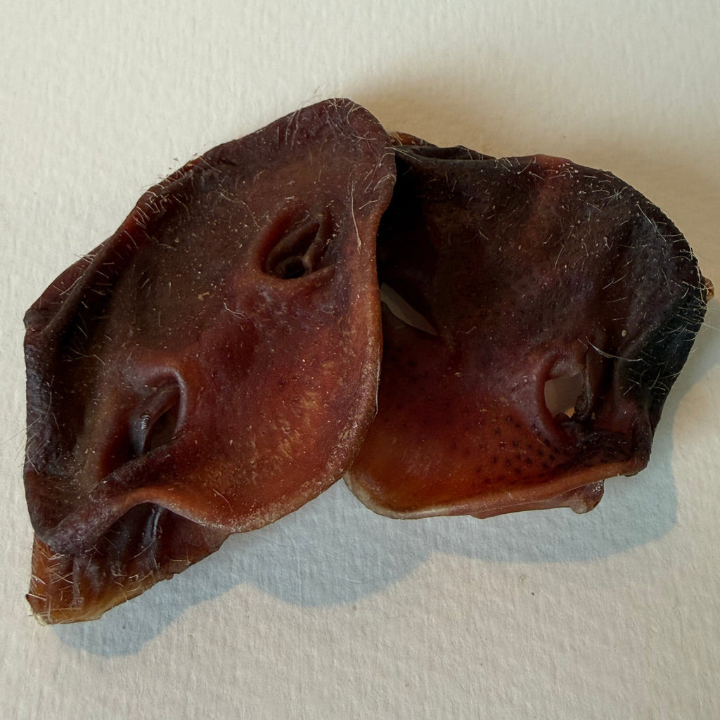 Crunchy Snozzles Dried Pigs' Snout | Happy Hounds NZ