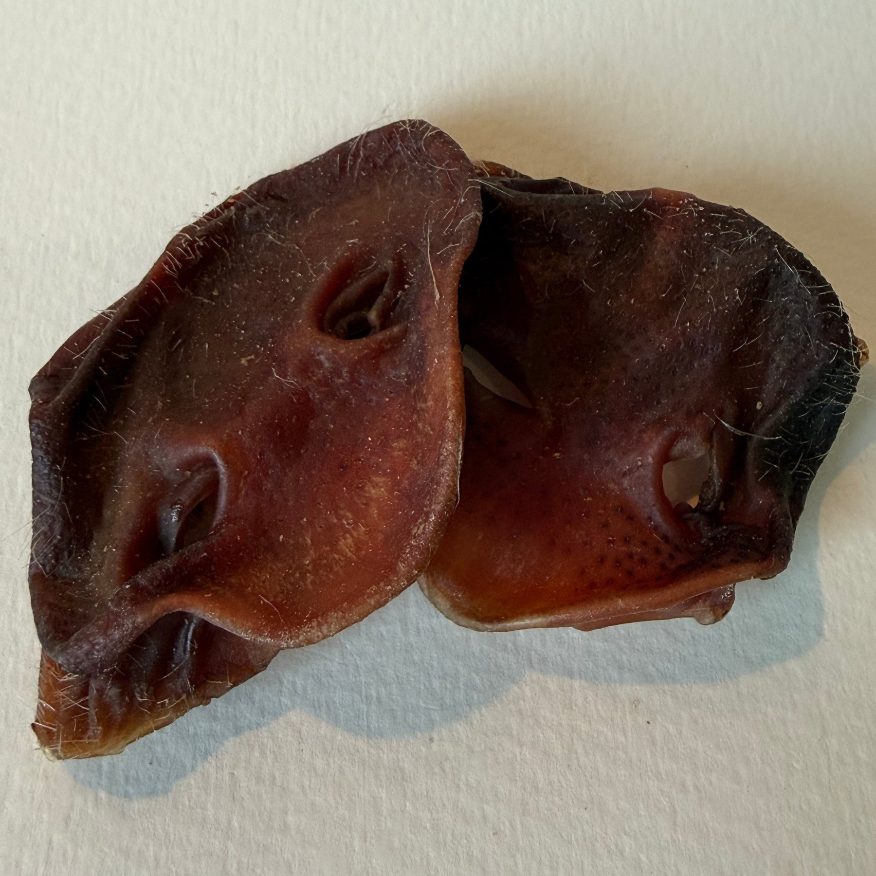 Crunchy Snozzles Dried Pigs' Snout | Happy Hounds NZ