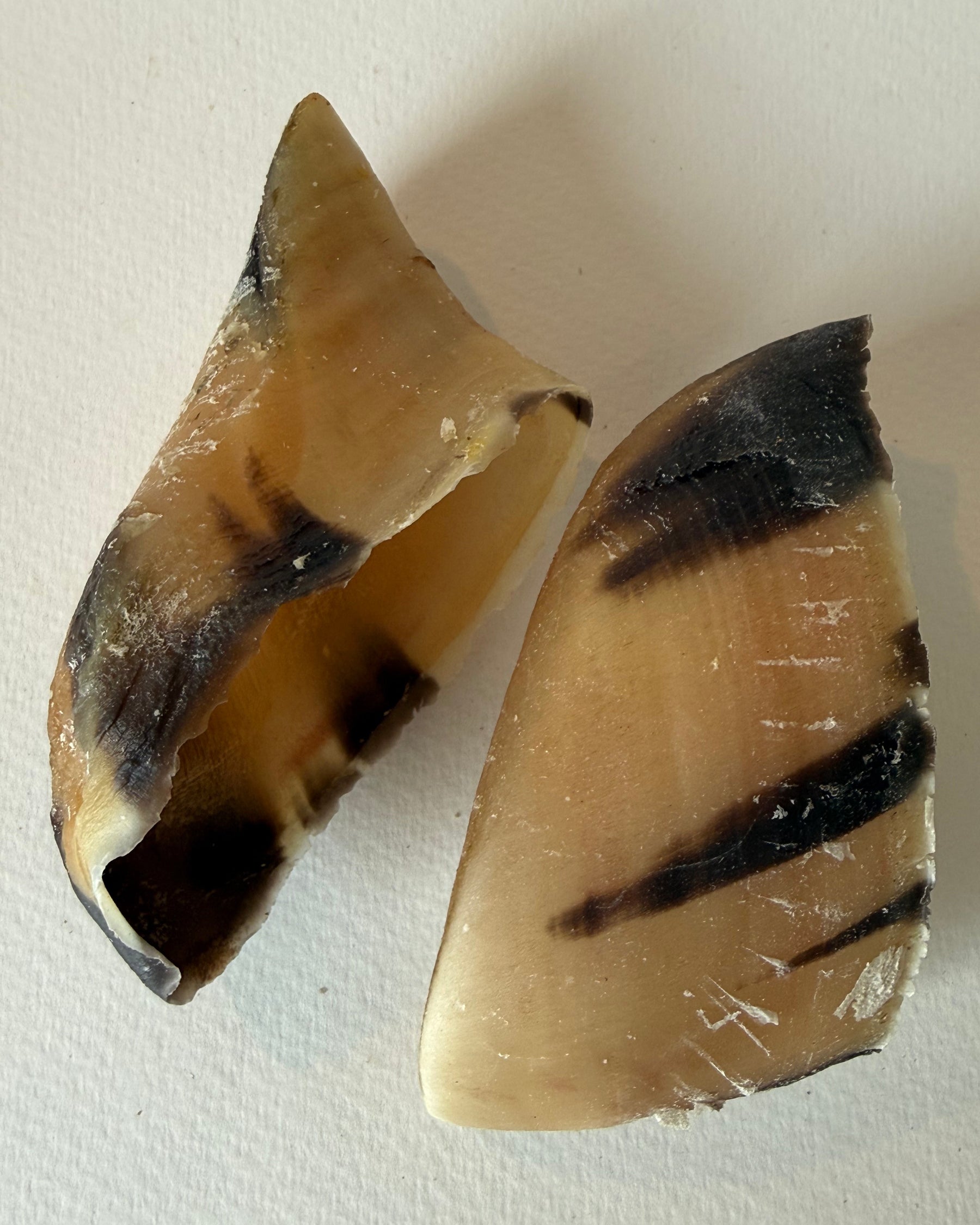 Durable Dried Beef Hooves Dog Chews | Happy Hounds NZ