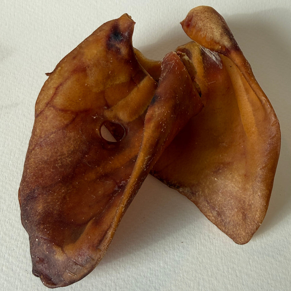 Ear Resistibles Dried Pigs' Ears | Happy Hounds NZ
