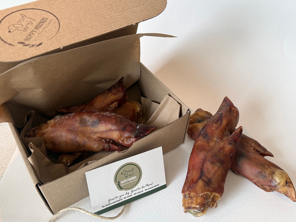 Natural Pigs' Trotters Dog Treats | Happy Hounds NZ